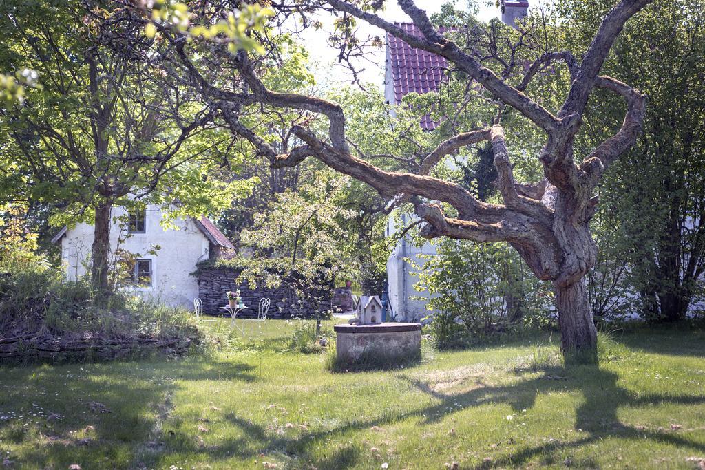 Hotel StelorGotlands Tofta エクステリア 写真